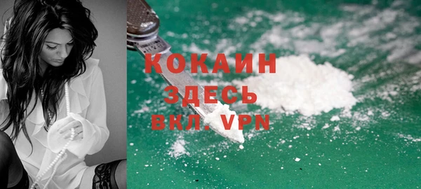 стафф Арсеньев