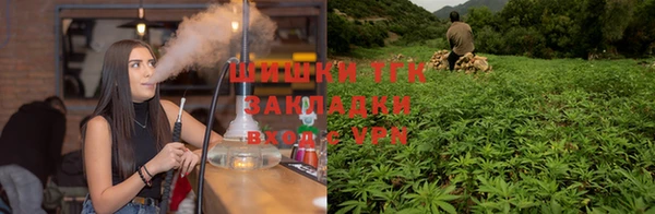 a pvp Семилуки