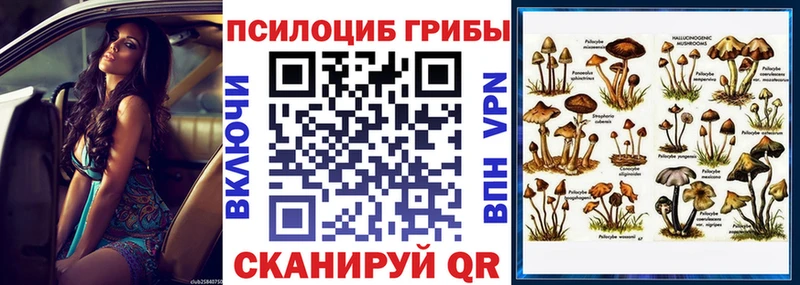 Галлюциногенные грибы Cubensis  блэк спрут ссылка  Чернушка 